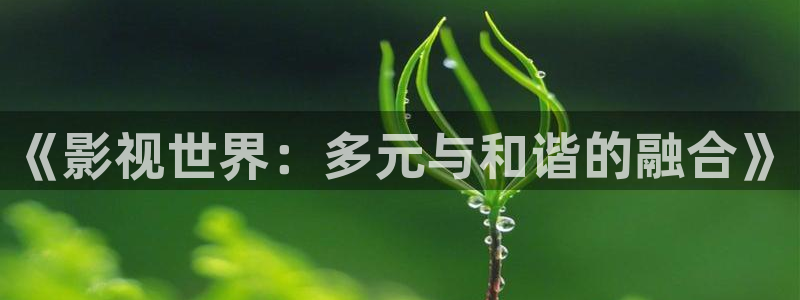 老湿影院啊啊啊啊：《影视世界：多元与和谐的融合》