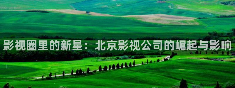 老湿免费看：影视圈里的新星：北京影视公司的崛起与影响