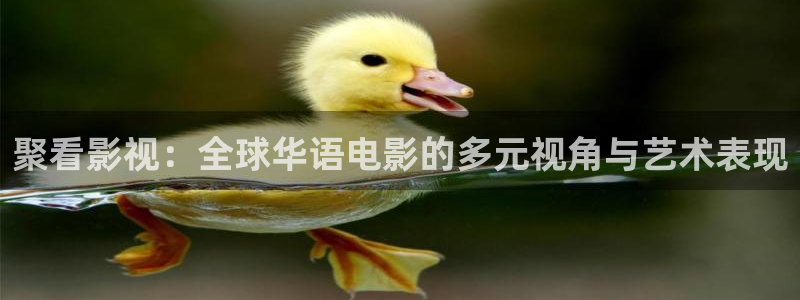 老湿影院视度：聚看影视：全球华语电影的多元视角与艺术表现