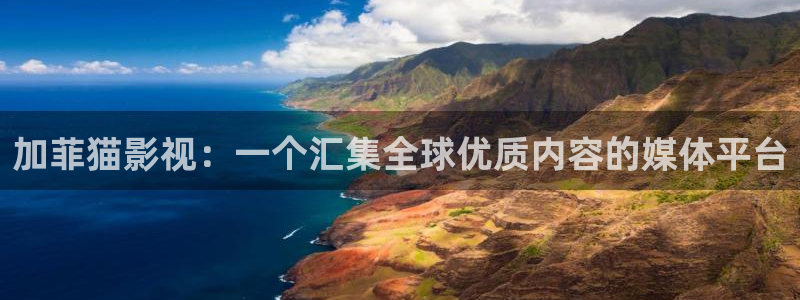 亚洲老湿机影院：加菲猫影视：一个汇集全球优质内容的媒体平台