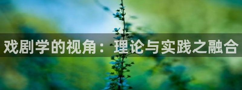 老湿姝影院：戏剧学的视角：理论与实践之融合